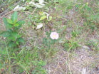 100_1696.jpg